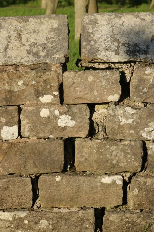 Stone Wall Repair in Somerset, NJ
